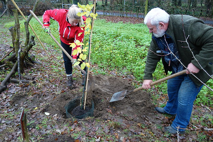 Lilly Malkus und Hartmut Wunderlich bedecken den gepflanzen Baum mit Erde.